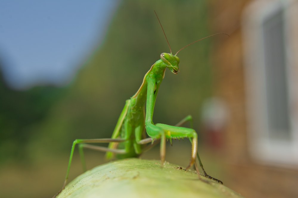 Photograph by Дмитрий Жижин