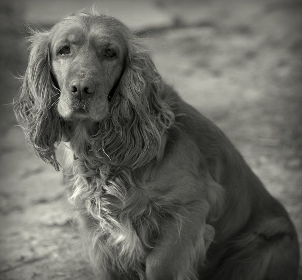 Photograph by Константин Бокарев