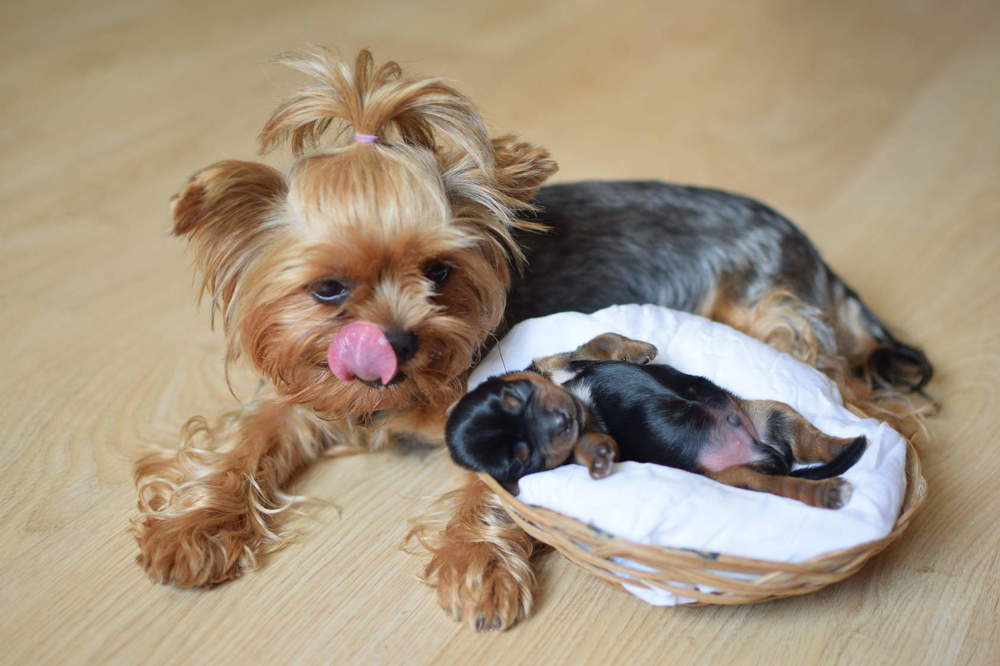 Photograph by Татьяна Козлова