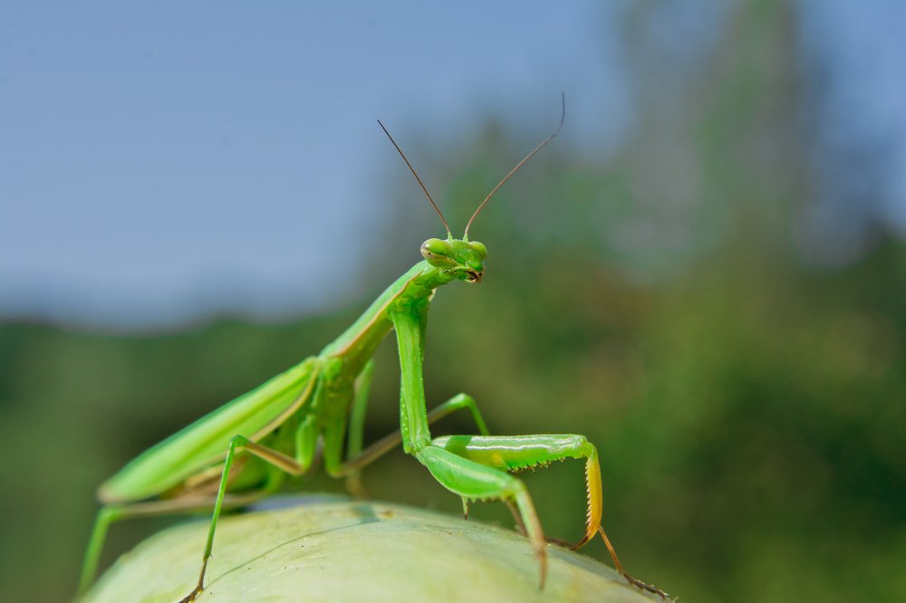 Photograph by Дмитрий Жижин