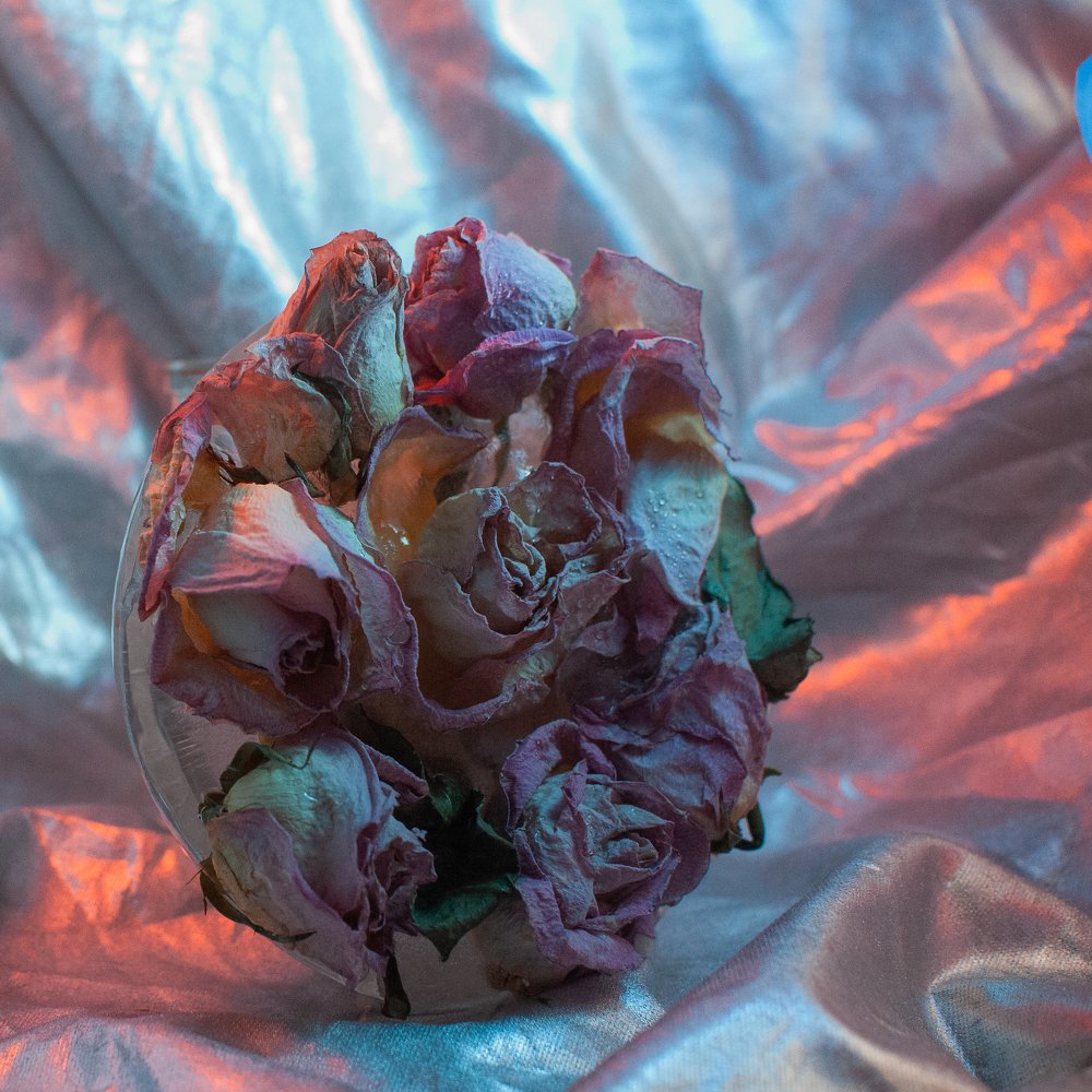 Photograph by Анна Сергеевна Стрельцова