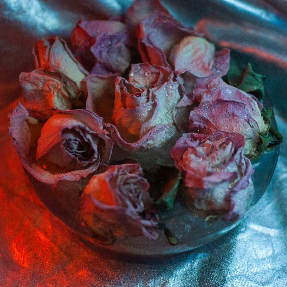 Photograph by Анна Сергеевна Стрельцова