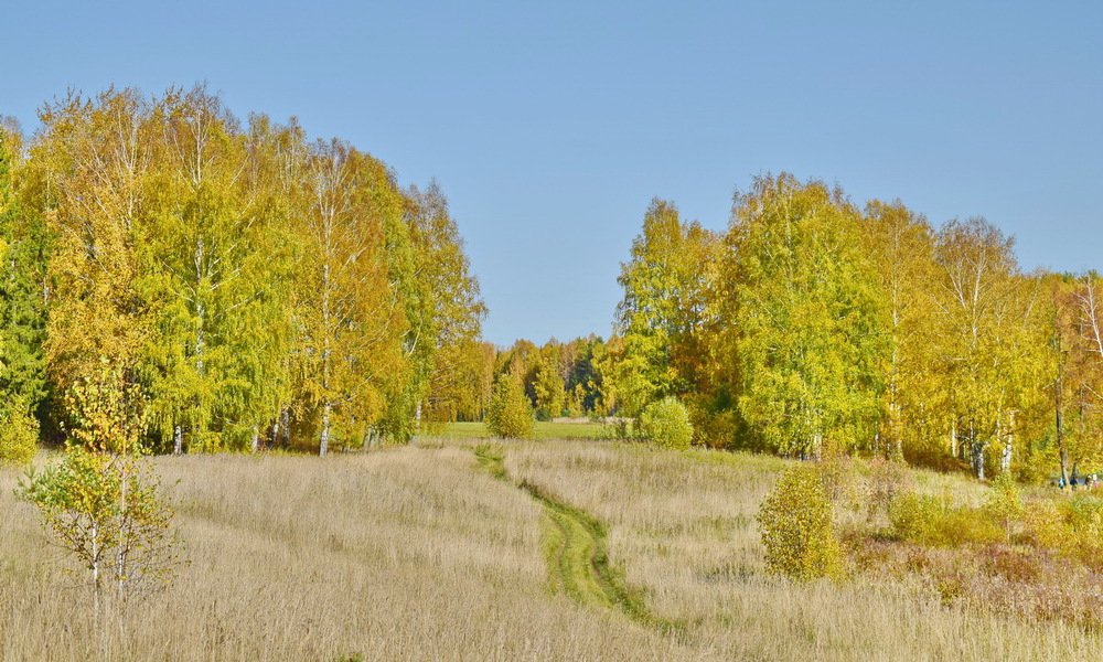 Photograph by Надежда Коновалова