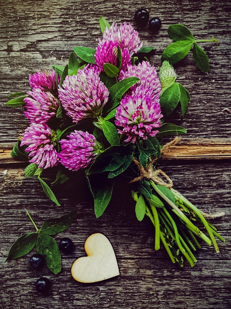 Photograph by Светлана Перминова