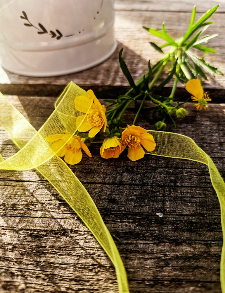 Photograph by Светлана Перминова