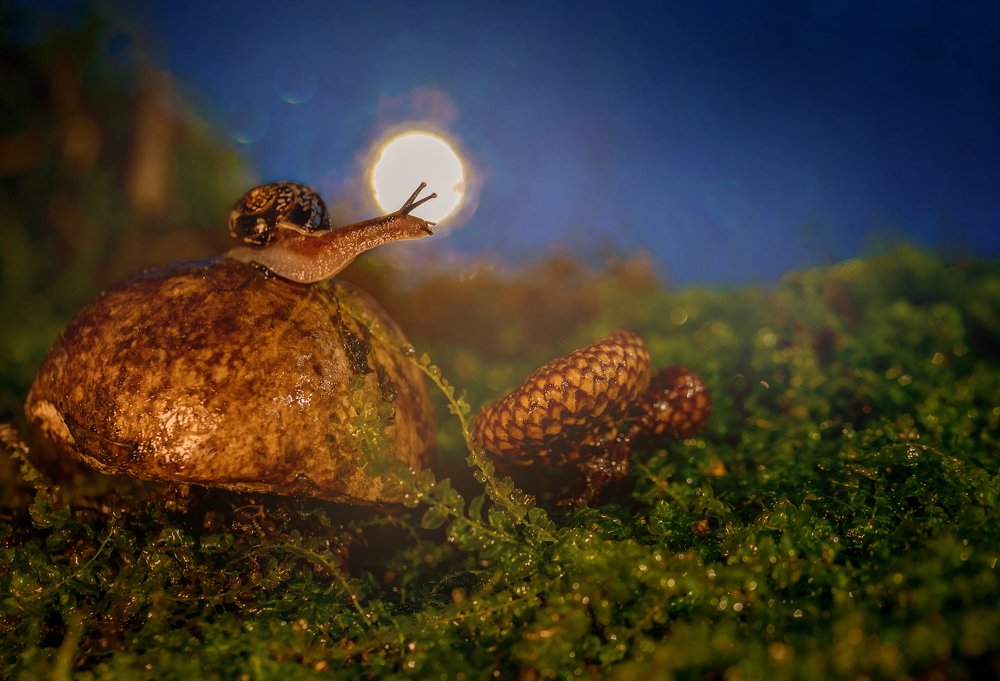 Photograph by Елена Иванова