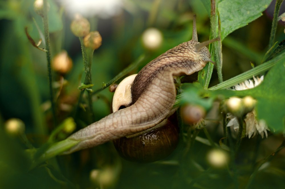 Photograph by Наталья Кеворкова