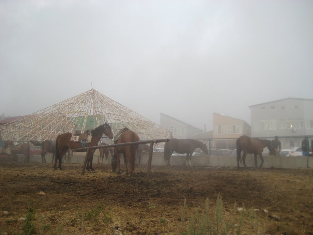 Фотография автора Елена Александрова