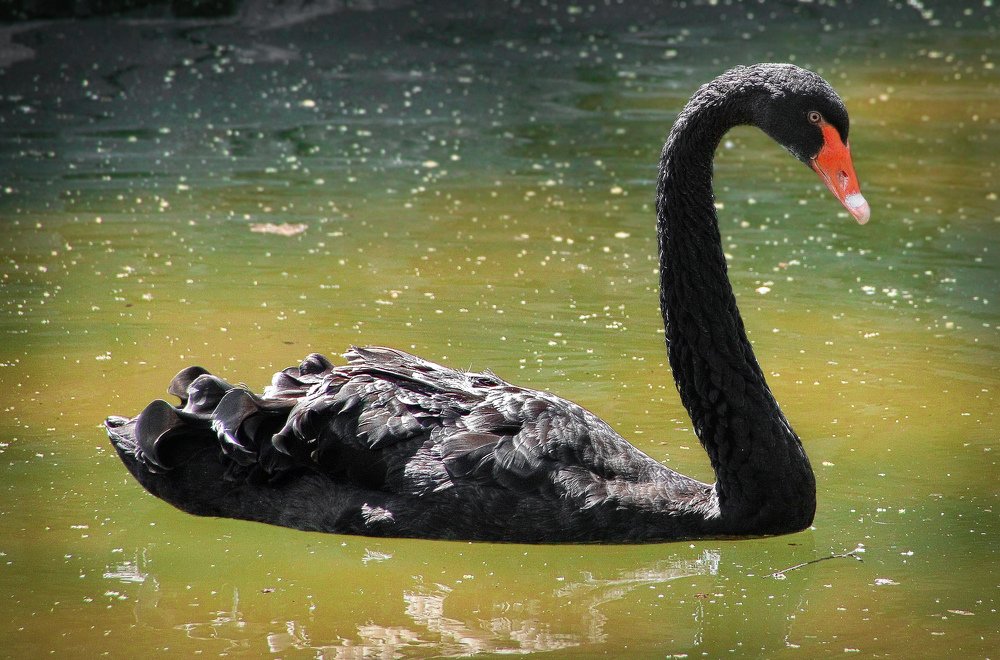 Photograph by Мычаковский Дмитрий