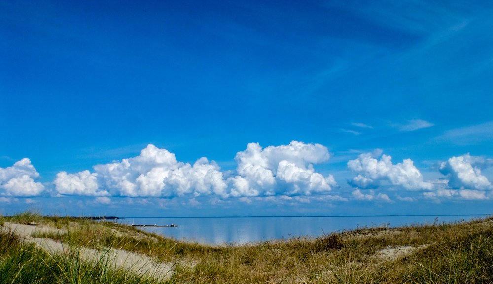 Photograph by Александрас Савицкис