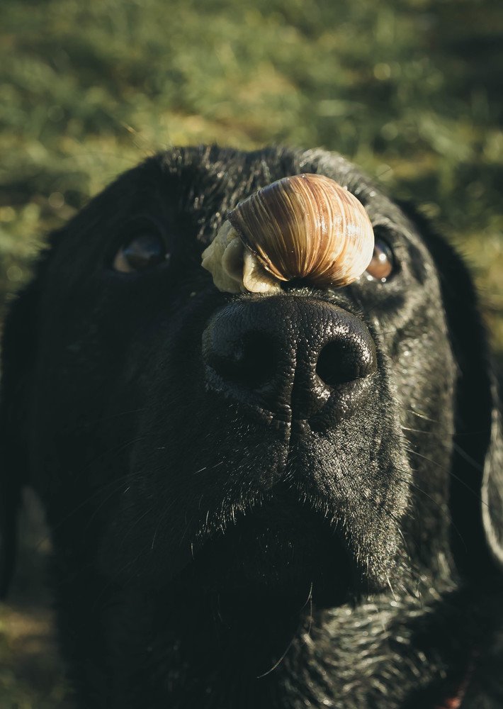 Photograph by Юлия Брежнева