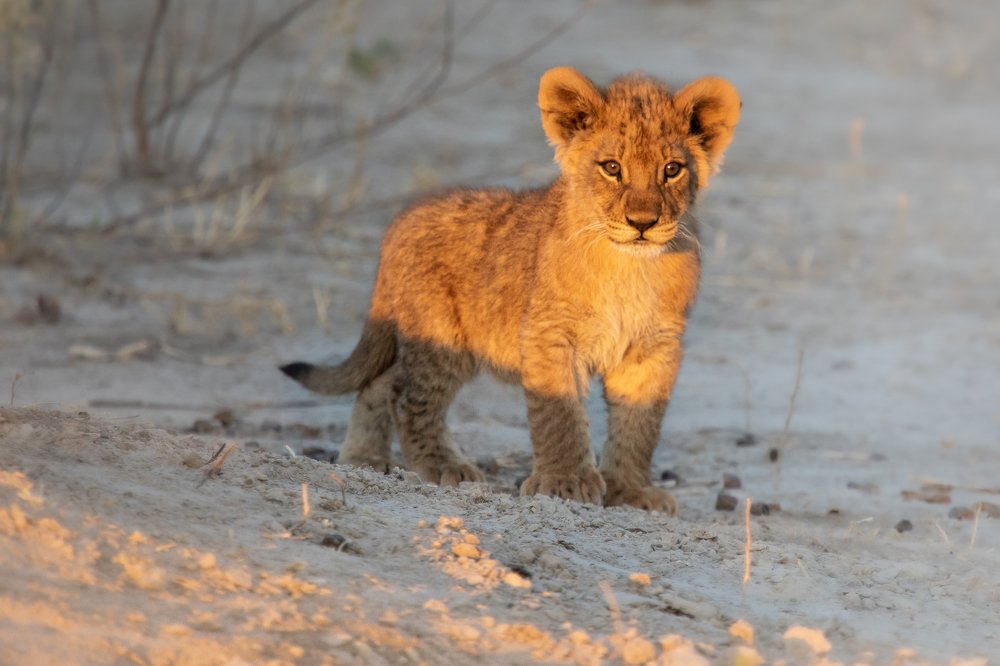 Photograph by Raquel Barao