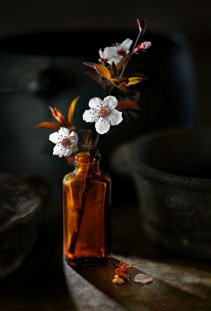 Photograph by Eduardo Modolo