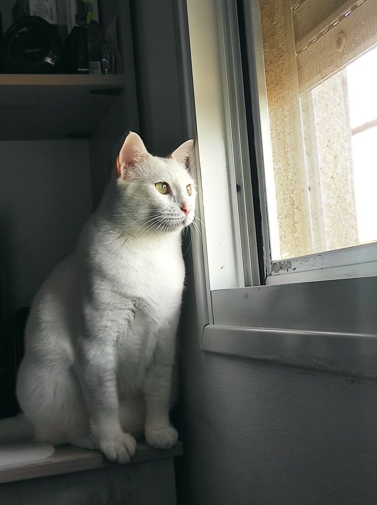 Фотография автора Marina Starovoyt