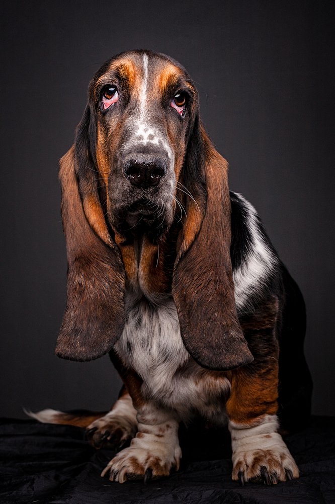 Photograph by Евгений Дёгтев