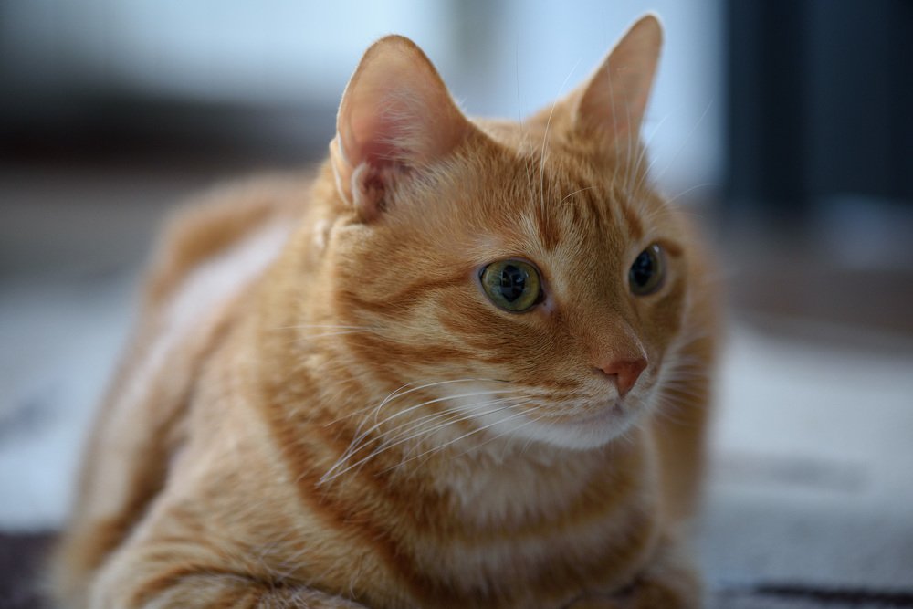 Photograph by Дмитрий Крючков