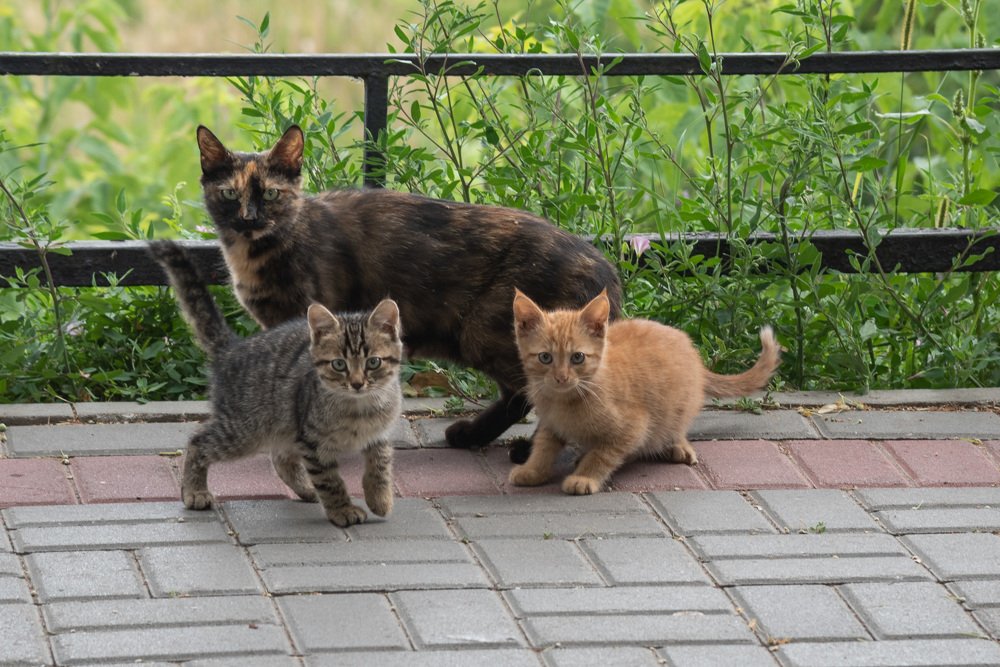 Photograph by Дмитрий Крючков