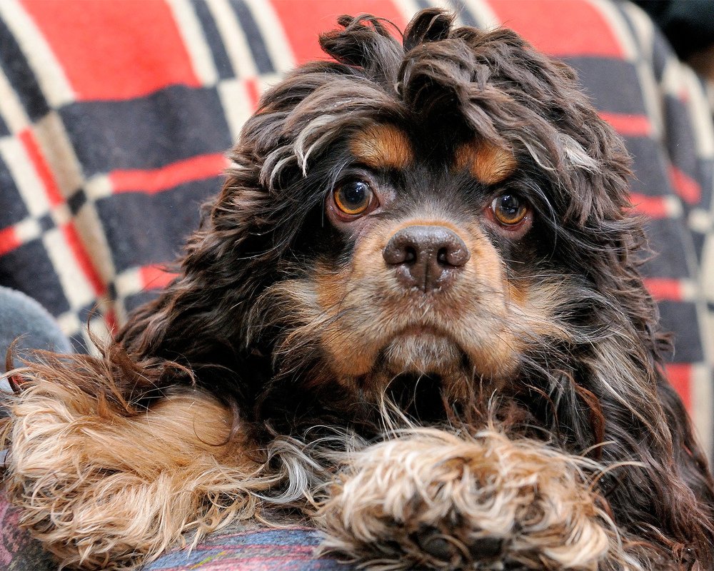 Photograph by Inessa Botasheva