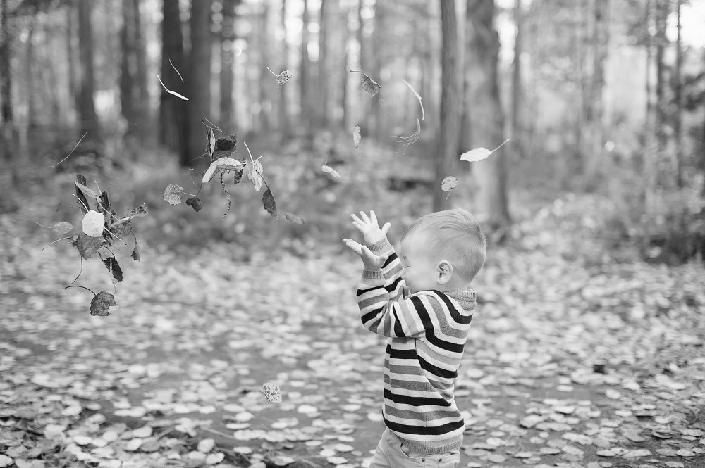 Фотография автора Анна Старцева