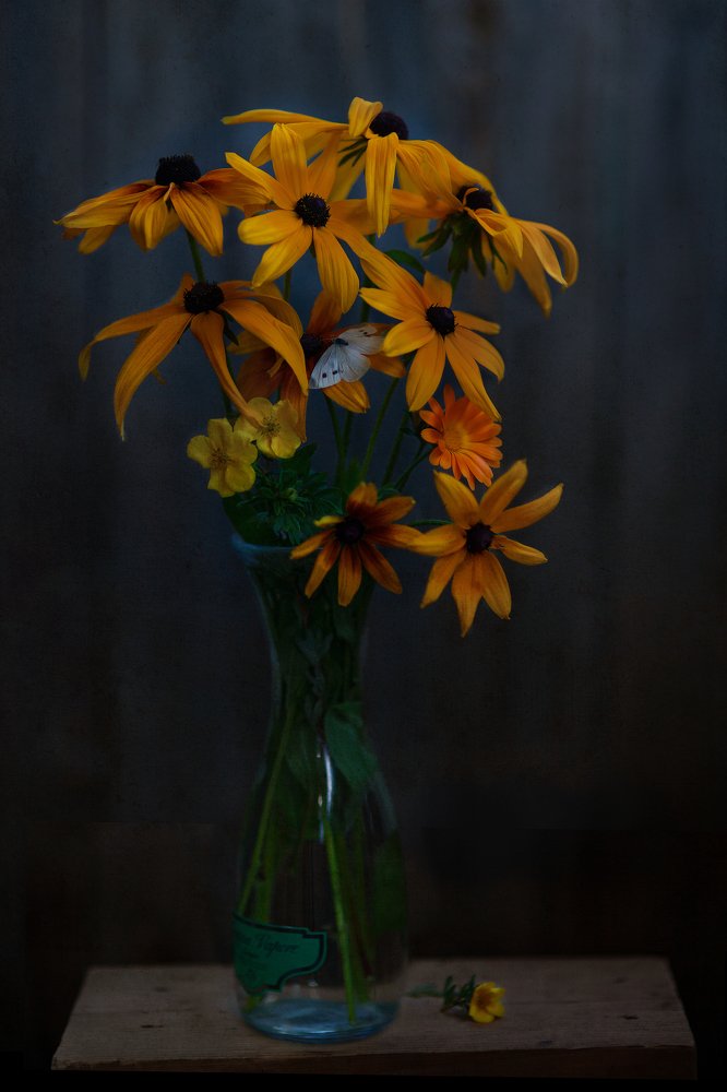 Photograph by Елена Тананко