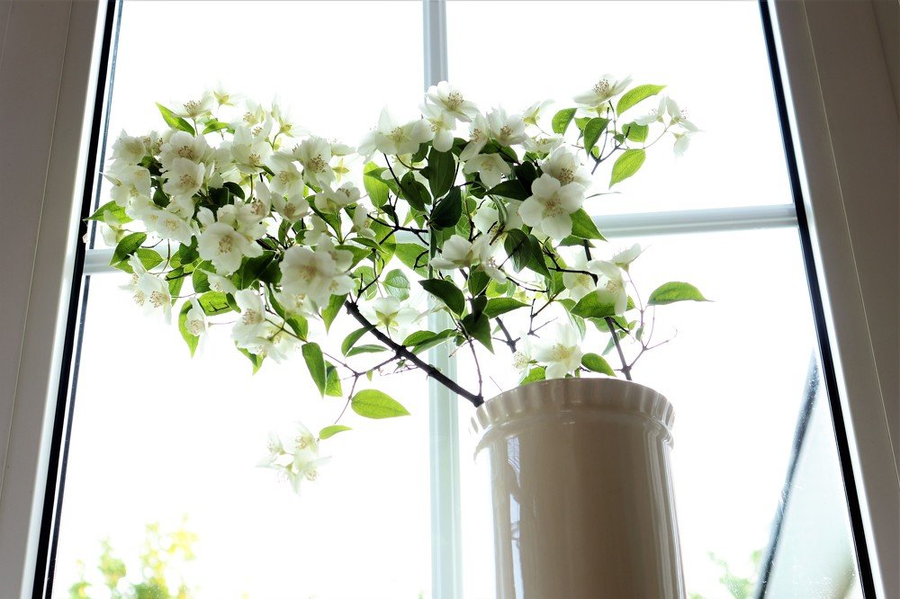 Photograph by Родосская Нонна