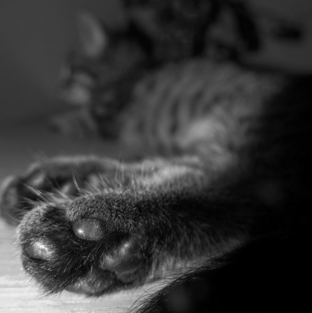 Photograph by Елена