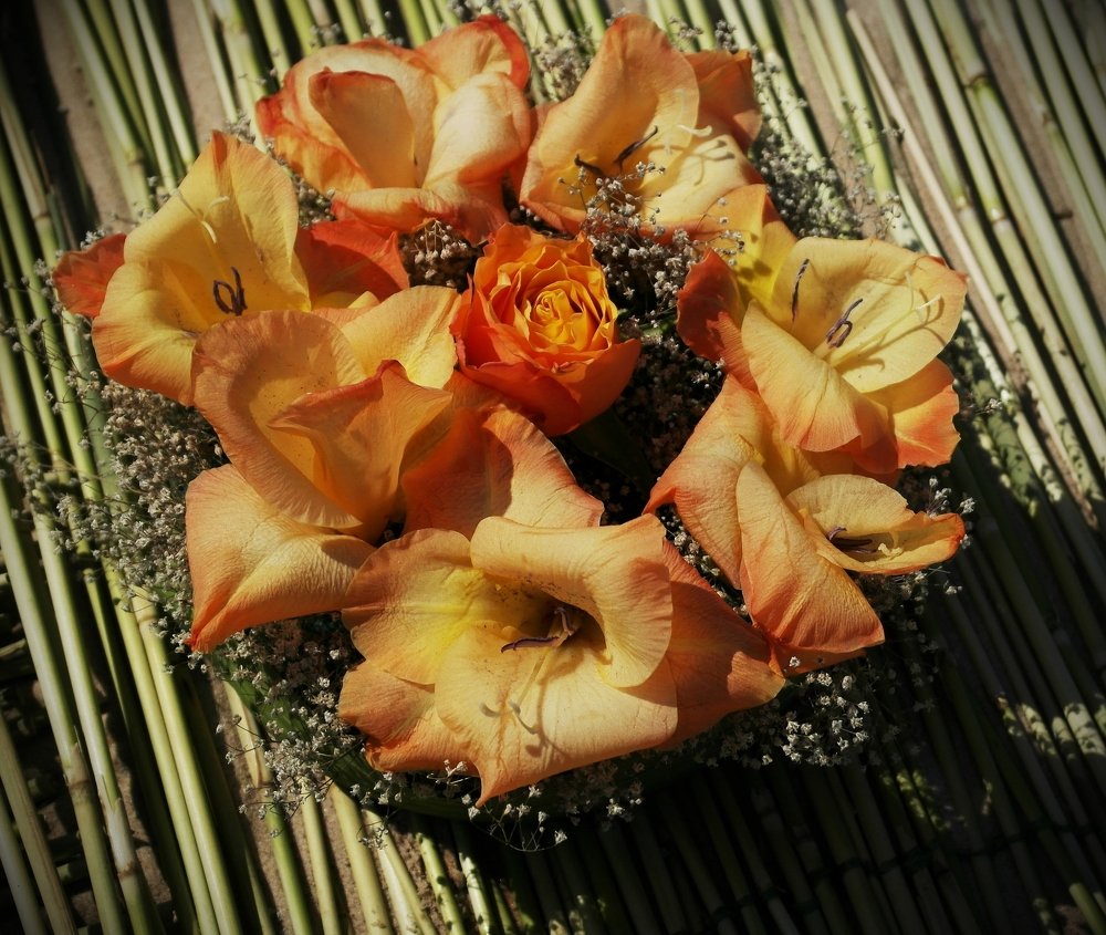 Photograph by Aleksandra Bistrova