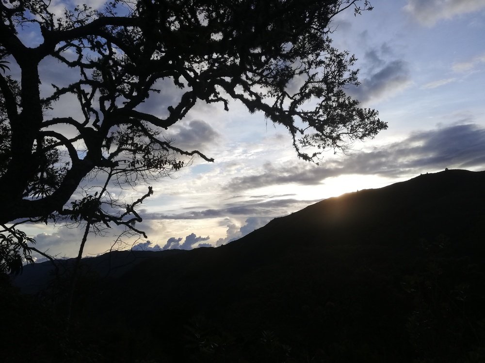 Photo #5001843