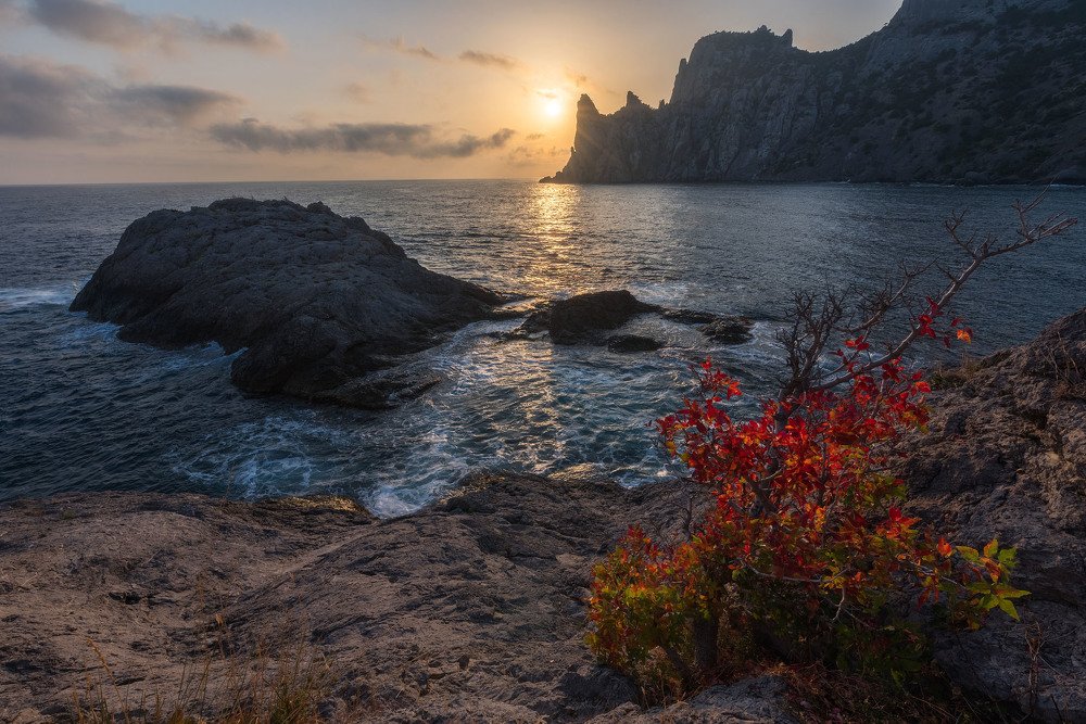 Photograph by Николай Кононов