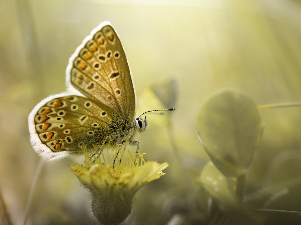 Photograph by Sylwia Ratajczyk