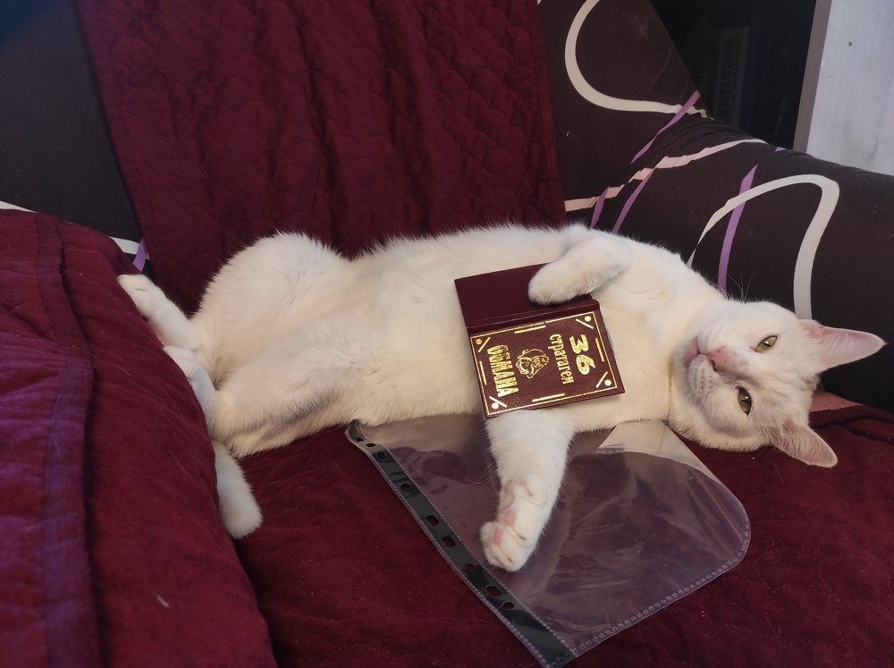 Фотография автора Marina Starovoyt