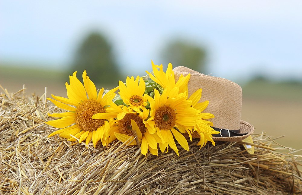 Вот и лето прошло!