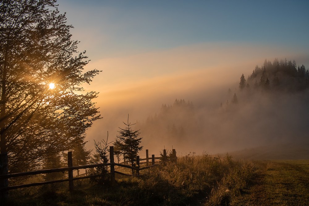 Photograph by Людмила Гладких