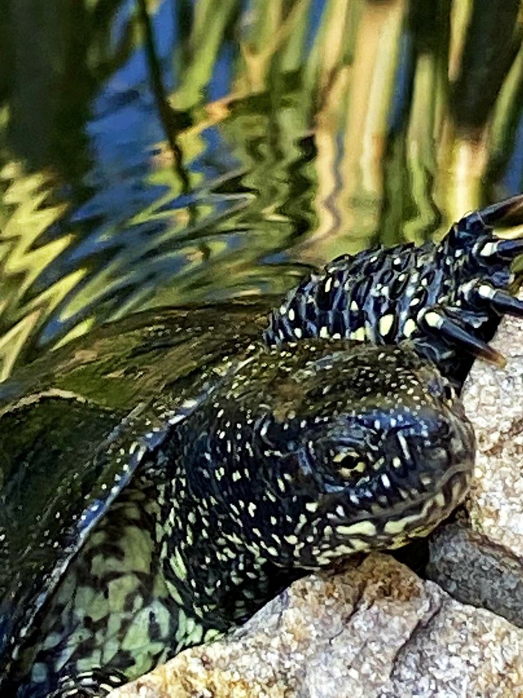 Photograph by Анжелика Сергеева