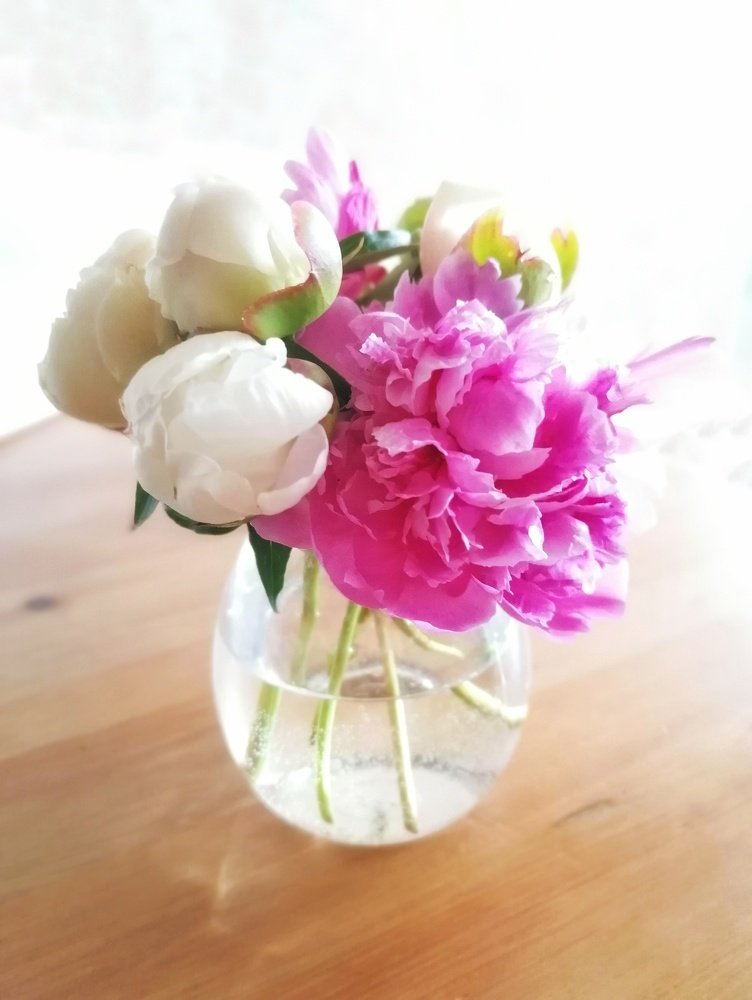 Photograph by Екатерина Абросова