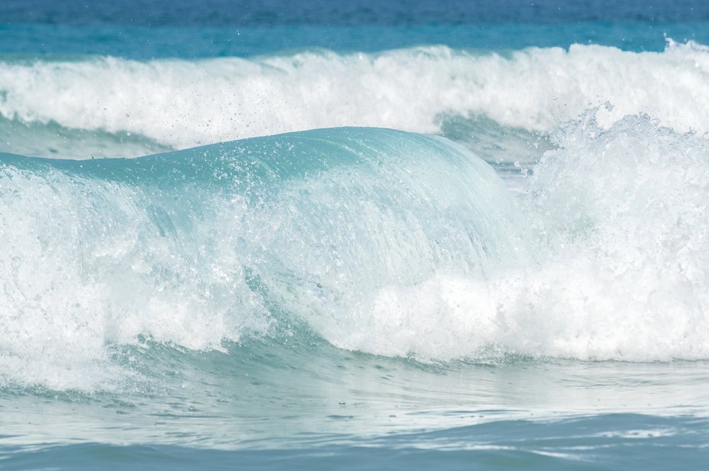 Photograph by Протасова Елена