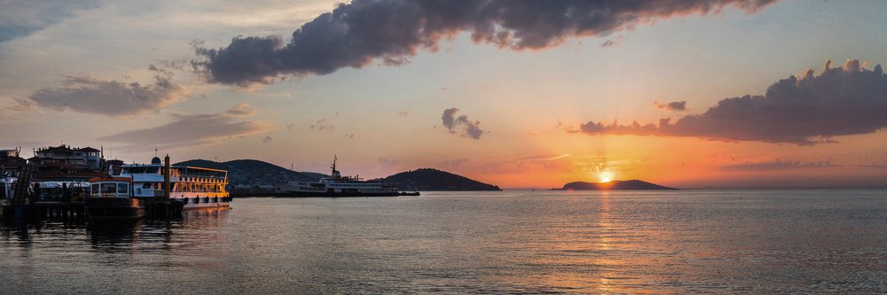 Photograph by Протасова Елена