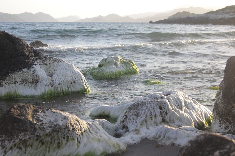 Photograph by Лада Денисова