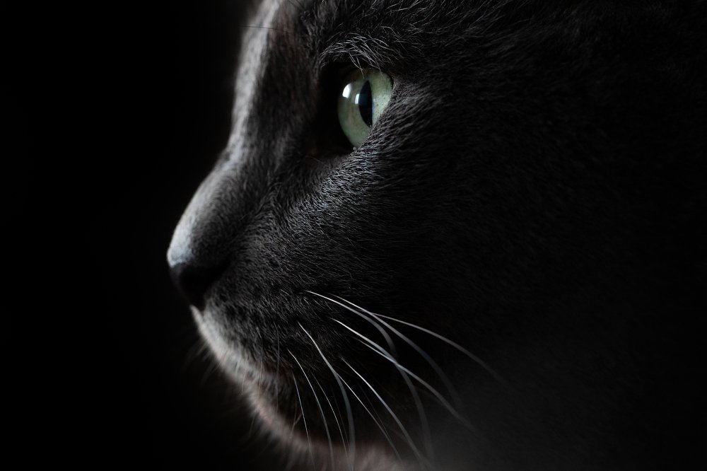 Photograph by Darja Akakjeva