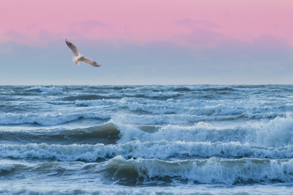 Photograph by Darja Akakjeva