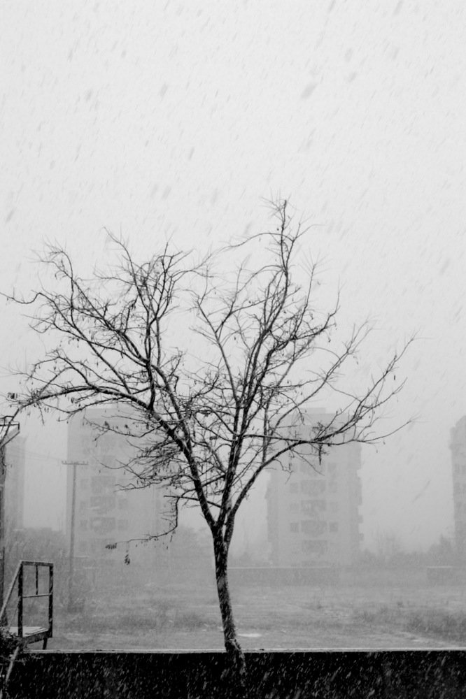 Photograph by Nikolin Shyqyriu