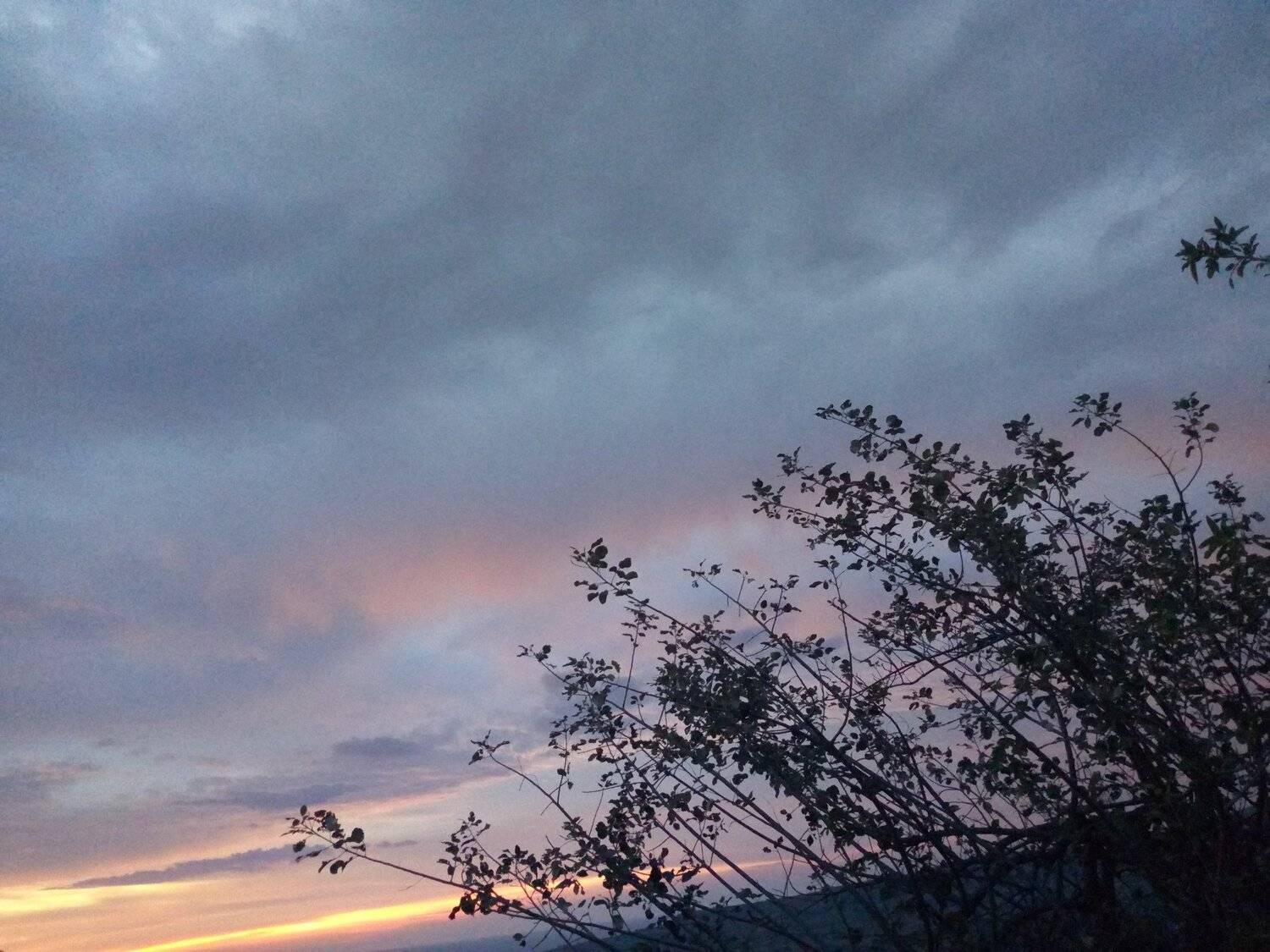 Photo #5002343