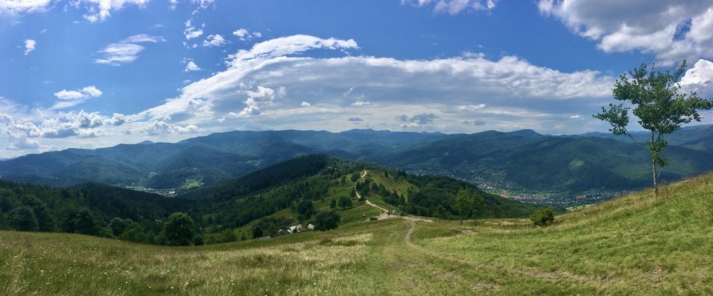 Photograph by Anna Krasova