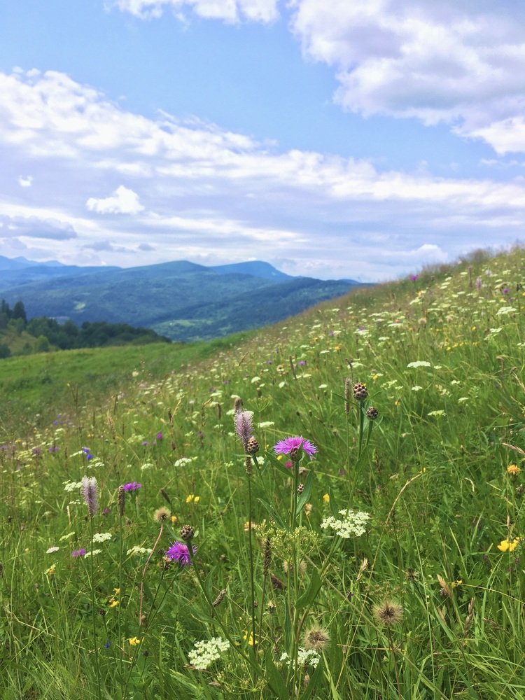 Photograph by Anna Krasova