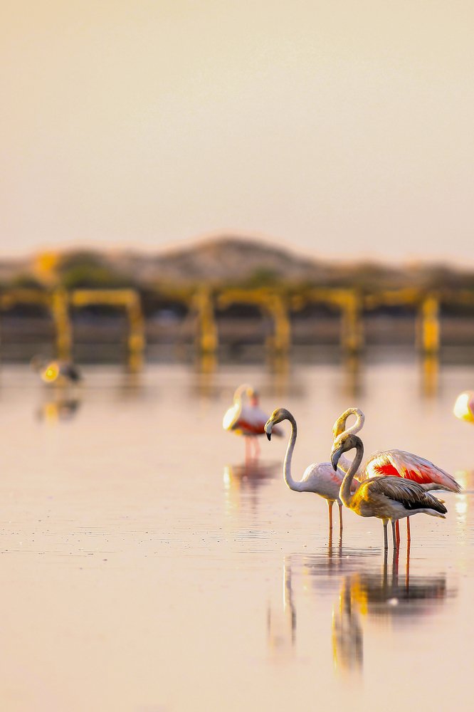 Фотография автора Yassine Yassine Gaidi