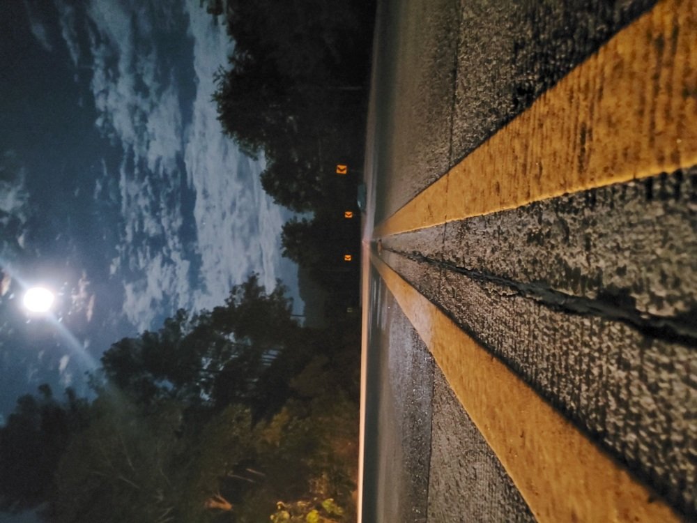 Photo #5002461