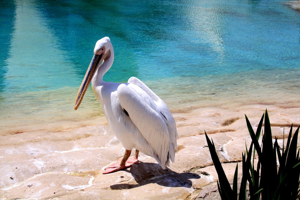 Me acompañas al agua?