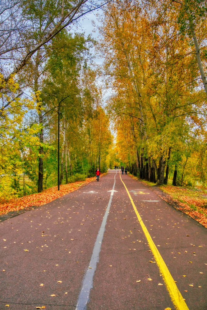 Photograph by Александр Пургин