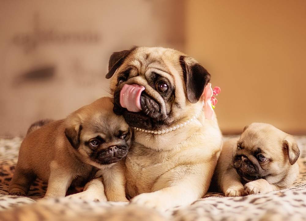 Photograph by Михеева Олеся