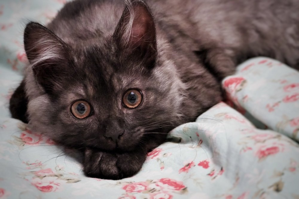 Photograph by Ирина